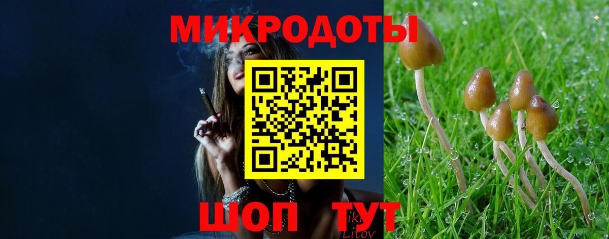 Галлюциногенные грибы GOLDEN TEACHER  Псилоцибиновые грибы Cubensis  Истра  Вход с VPN 